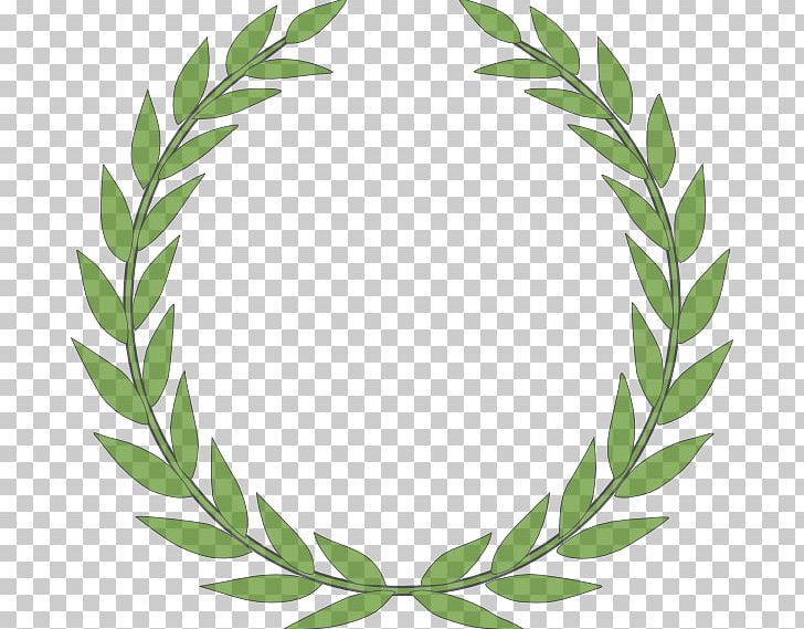 Laurel Wreath Bay Laurel PNG, Clipart, Area, Award, Bay Laurel, Clip Art, Crown Free PNG Download