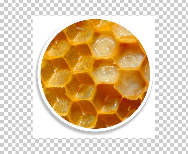 Western Honey Bee Queen Bee Food Royal Jelly PNG, Clipart, Bee, Cell, Egg, Food, Health Free PNG Download