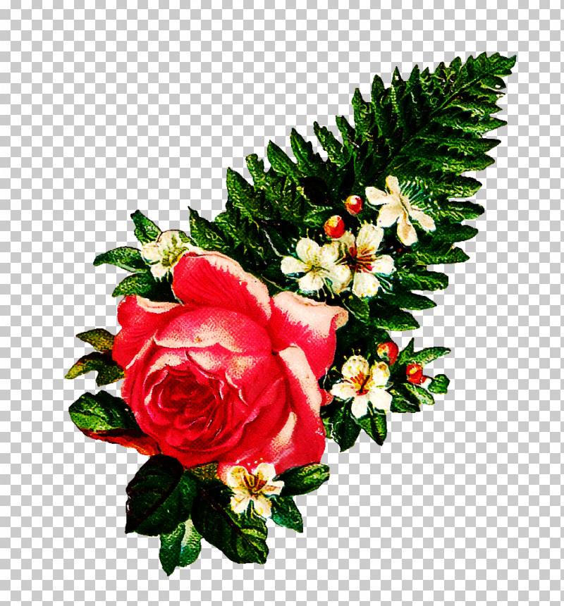 Garden Roses PNG, Clipart, Anthurium, Artificial Flower, Bouquet, Branch, Cut Flowers Free PNG Download