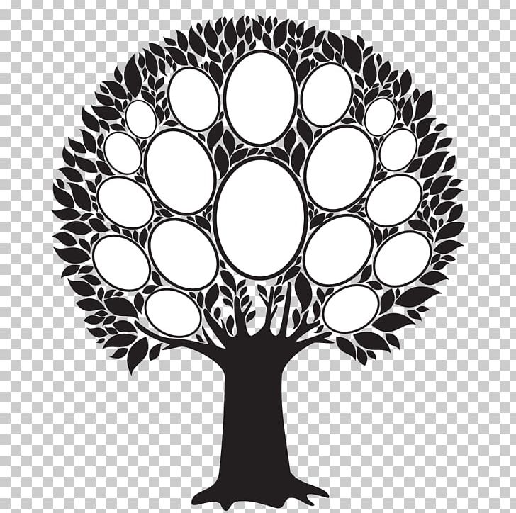 Frames Family Tree PNG, Clipart, Black And White, Branch, Circle, Family Tree, Flower Free PNG Download