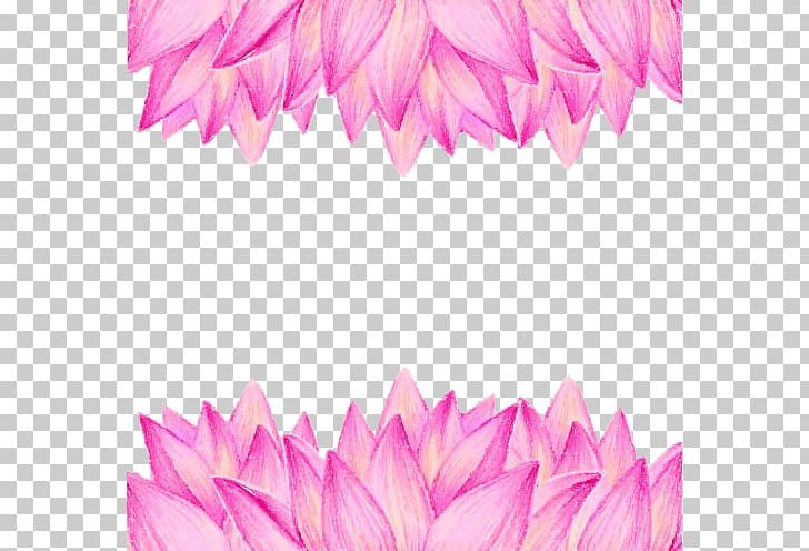 Nelumbo Nucifera Buddhism Flower Euclidean PNG, Clipart, Art, Buddhism, Dahlia, Floral Background, Floral Border Free PNG Download