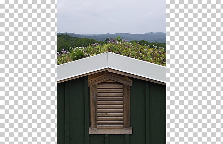 Window Roof Property Shed Outhouse PNG, Clipart, Angle, Eastern Prickly Pear, Facade, Home, House Free PNG Download