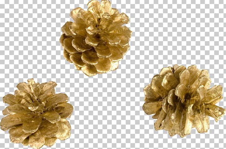 Christmas Gold Conifer Cone PNG, Clipart, Brass, Christmas Tree, Conifer, Conifer Cone, Gold Free PNG Download