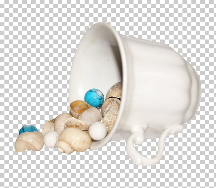 Oyster Pearl Conch PNG, Clipart, Bivalvia, Body Jewelry, Conch, Cup, Download Free PNG Download