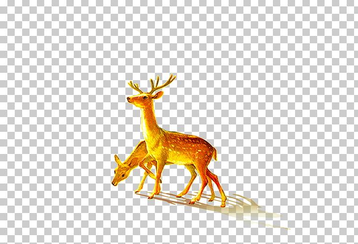 Deer PNG, Clipart, Animals, Antler, Christmas, Christmas Deer, Christmas Elements Free PNG Download