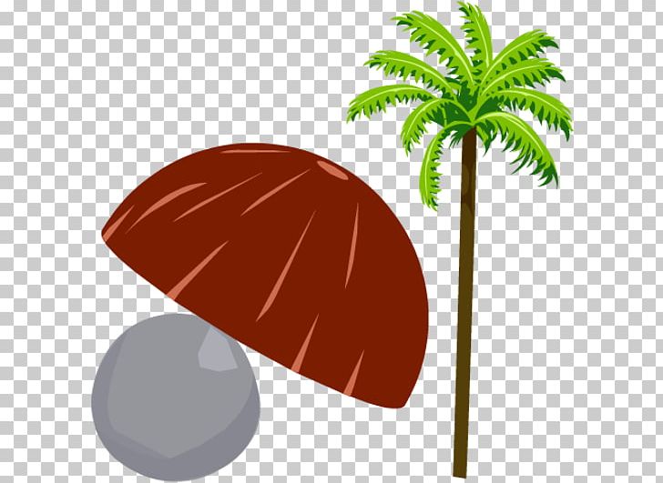 Leaf Product Design Plant Stem PNG, Clipart, Coconut Shell, Leaf, Plant, Plant Stem, Tree Free PNG Download