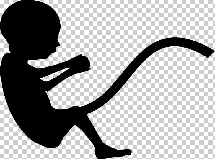 Fetus Infant Uterus Pregnancy Mother PNG, Clipart, Artificial Uterus, Artwork, Baby Mama, Black And White, Child Free PNG Download