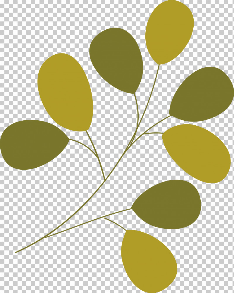Branch Plant Stem Leaf Yellow Flower PNG, Clipart, Biology, Branch, Flower, Leaf, Meter Free PNG Download
