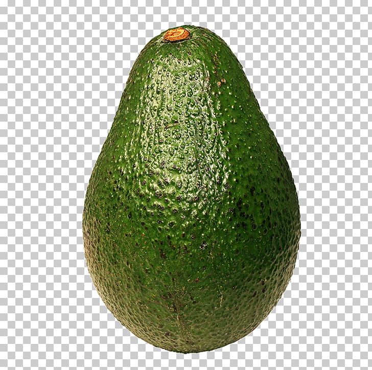 Avocado PNG, Clipart, Avocado Free PNG Download