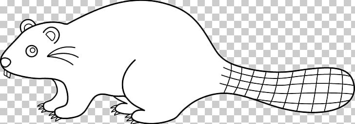 Eurasian Beaver Line Art Drawing PNG, Clipart, Angle, Animal Figure, Animals, Area, Artwork Free PNG Download