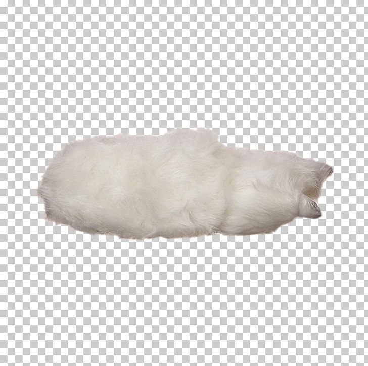 Snout Fur PNG, Clipart, Fur, Others, Snout, White Free PNG Download