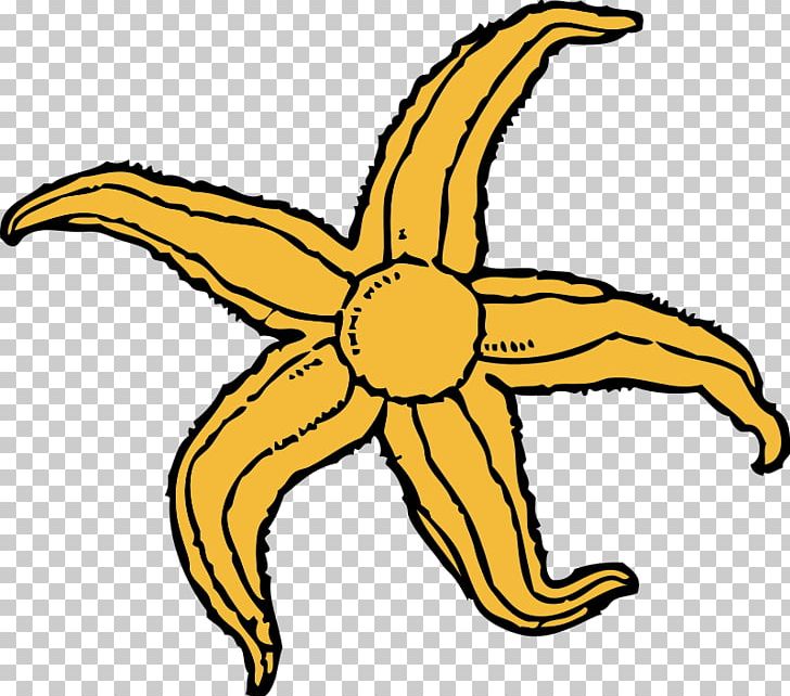 Starfish Free Content PNG, Clipart, Artwork, Blog, Coloring Book, Download, Drawing Free PNG Download