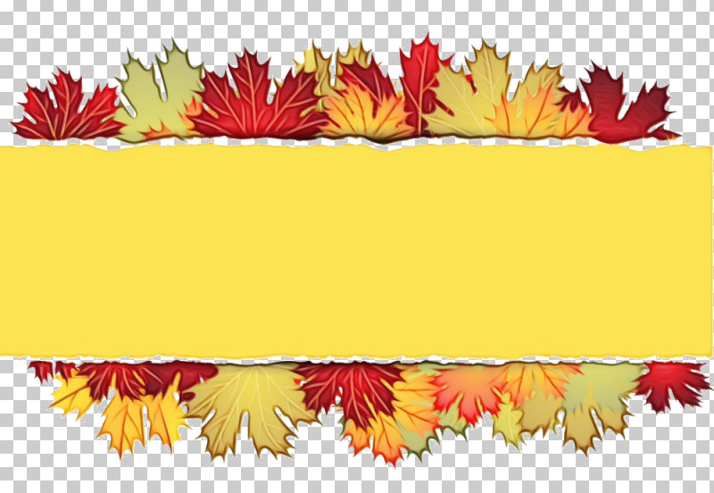 Maple Leaf PNG, Clipart, Biology, Leaf, Maple, Maple Leaf, Meter Free PNG Download