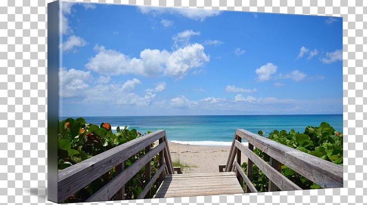 Shore Juno Beach Pier Work Of Art PNG, Clipart, Art, Beach, Caribbean, Coast, Fine Art Free PNG Download