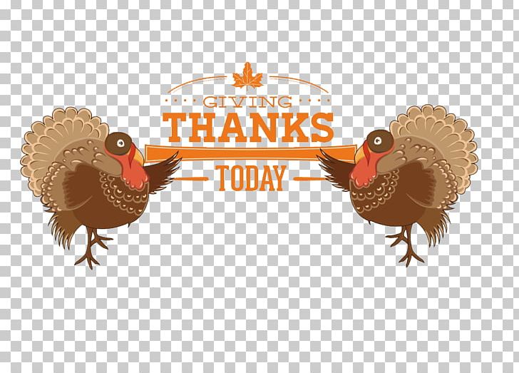 Turkey Meat Thanksgiving PNG, Clipart, Black Friday, Christmas Decoration, Color, Decorative, Encapsulated Postscript Free PNG Download