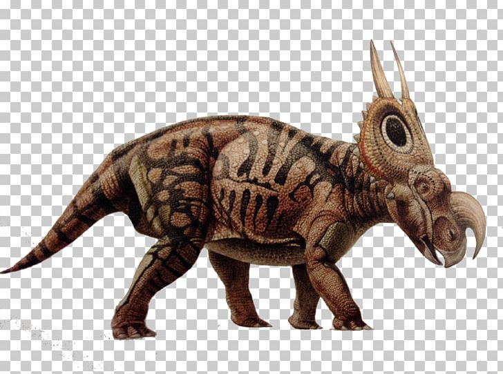 Tyrannosaurus Diabloceratops Velociraptor Dinosaur Ceratopsia PNG, Clipart, Animal Figure, Anywhere, At In, Campus, Ceratopsia Free PNG Download