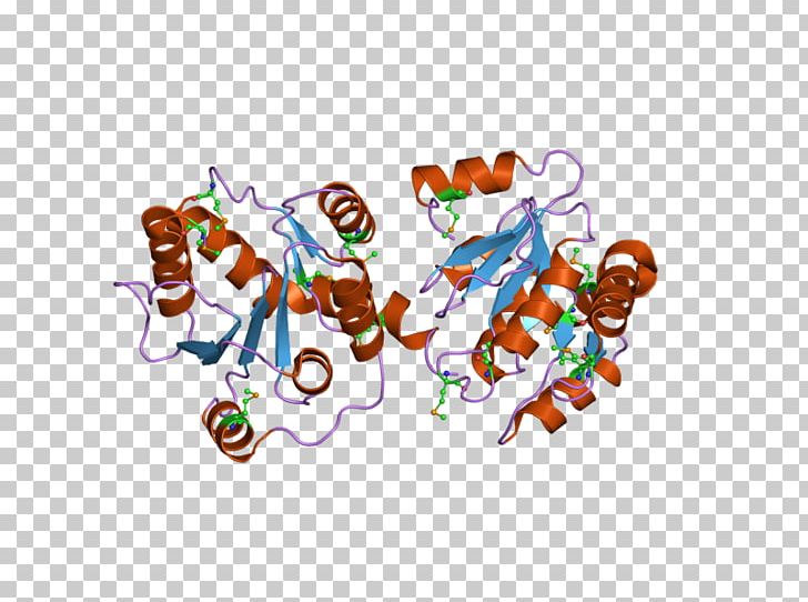 UGT2B7 Glucuronosyltransferase Metabolism Isozyme Benzidine PNG, Clipart, Art, Benzidine, Cell, Epithelium, Gene Free PNG Download