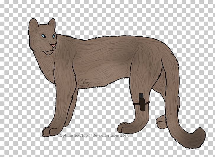 Whiskers Cougar Wildcat Bear PNG, Clipart, Animal, Animal Figure, Animals, Bear, Beth Greene Twd Free PNG Download