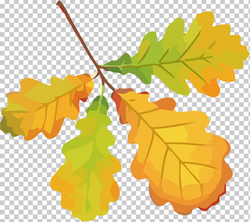 Autumn Leaf Yellow Leaf Leaf PNG, Clipart, Autumn Leaf, Black Maple, Grape Leaves, Leaf, Plane Free PNG Download