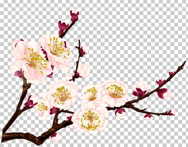 Plum Blossom Flower PNG, Clipart, Branch, Cdr, Cherry Blossoms, Coreldraw, Creative Background Free PNG Download