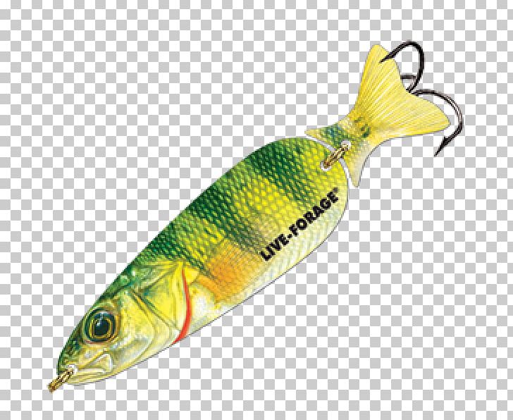 Spoon Lure Oily Fish Perch AC Power Plugs And Sockets PNG, Clipart, Ac Power Plugs And Sockets, Bait, Casting, Fish, Fishing Bait Free PNG Download