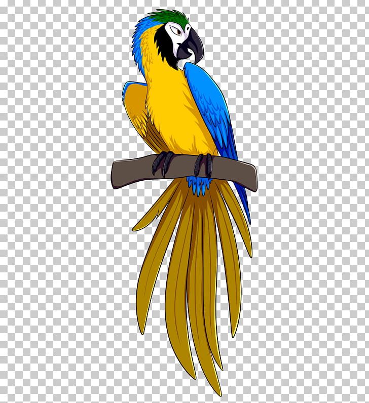 Blue-and-yellow Macaw Parrot Bird Rio PNG, Clipart,  Free PNG Download
