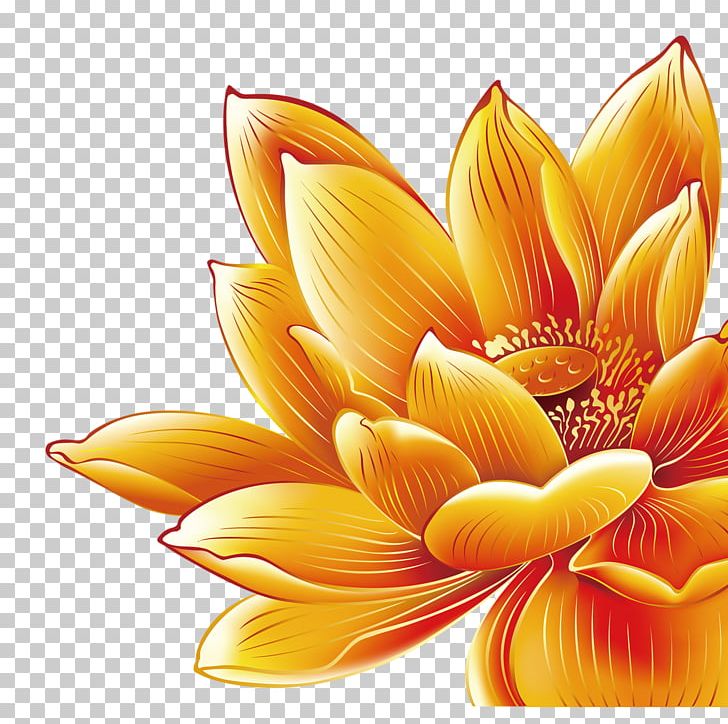 China Mooncake Nelumbo Nucifera PNG, Clipart, Art, Auglis, China, Computer Wallpaper, Cut Flowers Free PNG Download