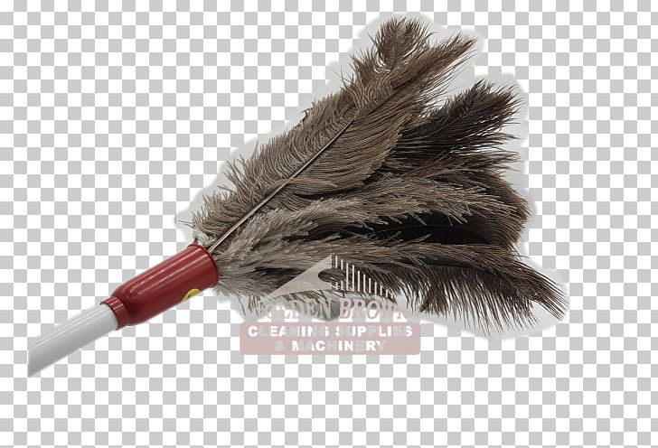 Feather Duster Cleaning Common Ostrich Mop PNG, Clipart, Animals, Cleaning, Common Ostrich, Dust, Electrostatics Free PNG Download