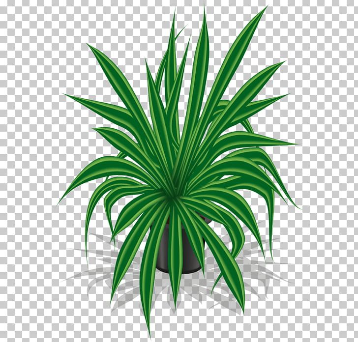 Flowerpot Houseplant Garden PNG, Clipart, Agave, Arecales, Chlorophytum Comosum, Flower, Flower Garden Free PNG Download