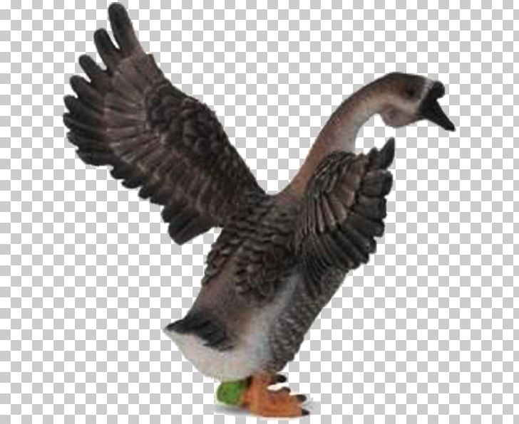 Goose Mallard Bird Amazon.com 0 PNG, Clipart, Angels Wings, Angel Wing, Angel Wings, Animal, Animals Free PNG Download