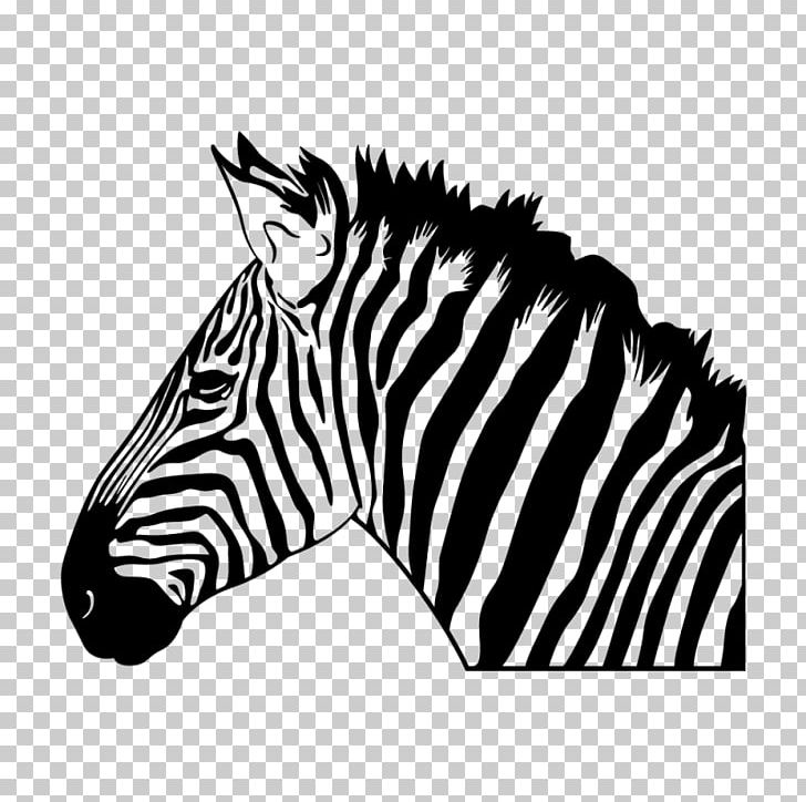Mountain Zebra Wall Decal Sticker PNG, Clipart, 6 Inch, Animal, Animals, Art, Black Free PNG Download