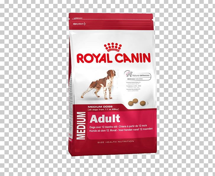 Puppy Dog Food Labrador Retriever Cat Royal Canin PNG, Clipart, Animals, Breed, Cat, Dog, Dog Breed Free PNG Download