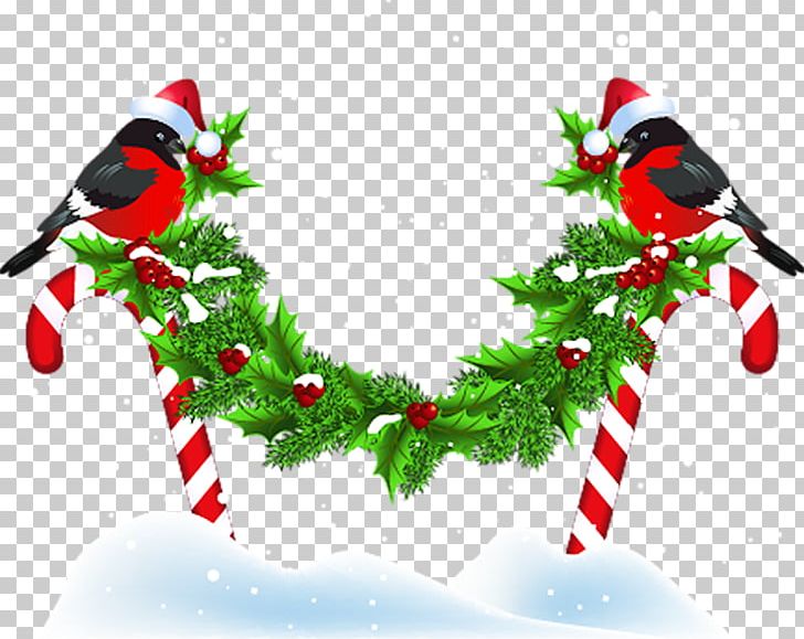 Christmas Ornament Bird New Year Kerstkrans PNG, Clipart, 500 X, 2016, Aquifoliaceae, Bachmann, Beak Free PNG Download