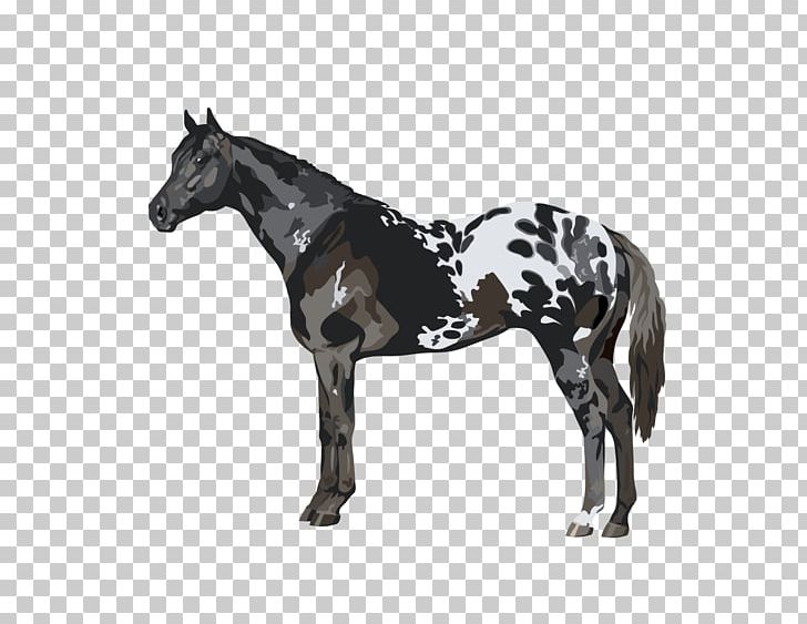 Stallion Appaloosa Tennessee Walking Horse Mustang American Paint Horse PNG, Clipart, Animal Figure, Black, Black, Breed, Bridle Free PNG Download