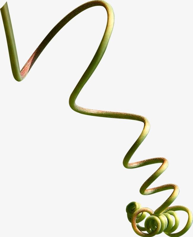 Twig PNG, Clipart, Plant, Trees, Twig, Twig Clipart Free PNG Download