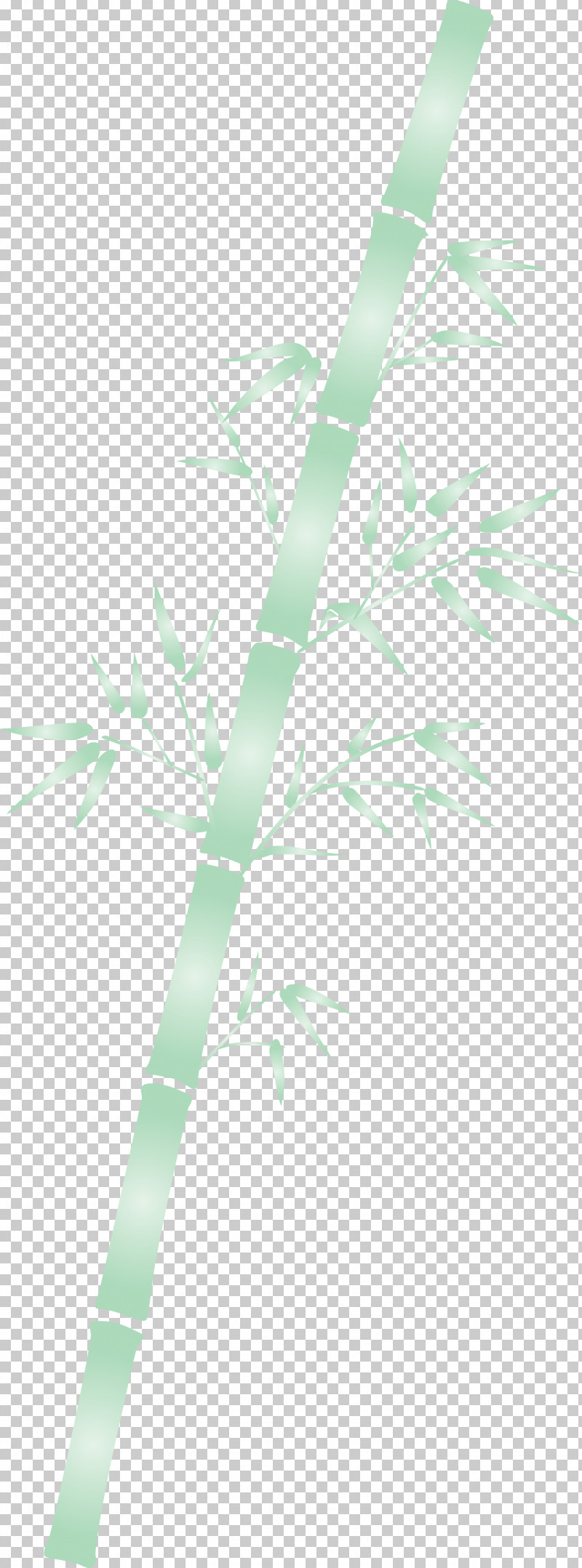 Bamboo Leaf PNG, Clipart, Bamboo, Branch, Eucalyptus, Flower, Grass Free PNG Download