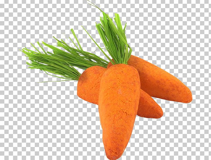 Baby Carrot Food Vegetable Vegetarian Cuisine PNG, Clipart, Baby Carrot, Baguio, Carrot, Daucus Carota, Diet Food Free PNG Download