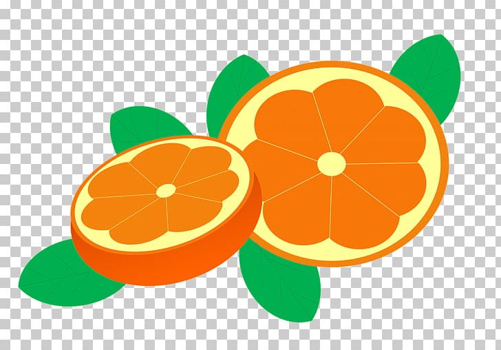 Mandarin Orange Visual Perception Food Vitamin PNG, Clipart, Bay, Circle, Citrus, Eating, Eye Free PNG Download