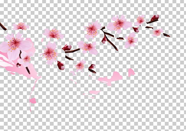 National Cherry Blossom Festival PNG, Clipart, Adobe Illustrator, Aquarene, Blossom, Blossoms, Branch Free PNG Download