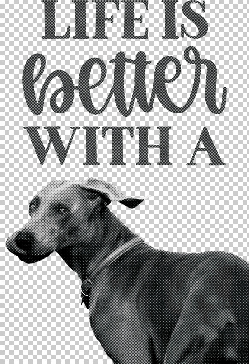 Life Better PNG, Clipart, Better, Biology, Black, Breed, Dog Free PNG Download