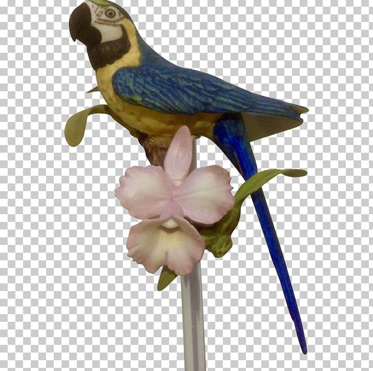 Bird Hyacinth Macaw Parrot The Franklin Mint PNG, Clipart,  Free PNG Download
