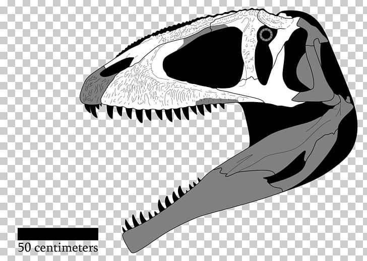 Giganotosaurus Tyrannosaurus Tyrannotitan Acrocanthosaurus Mapusaurus PNG, Clipart, Acrocanthosaurus, Black And White, Bone, Carcharodontosaurus, Dinosaur Free PNG Download