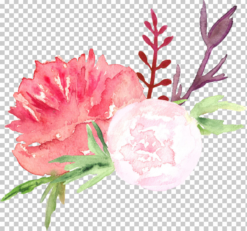 Floral Design PNG, Clipart, Cut Flowers, Drawing, Floral Design, Flower, Flower Bouquet Free PNG Download