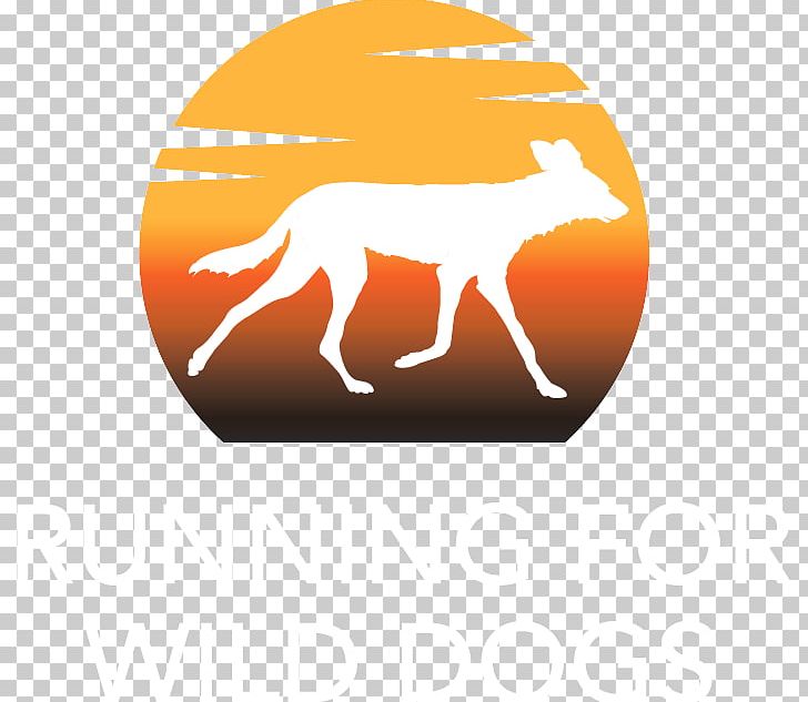 African Wild Dog Dhole Camel Snout PNG, Clipart, African Wild Dog, Animals, Camel, Camel Like Mammal, Conservation Free PNG Download