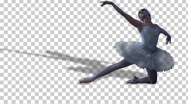 Ballet Dance Swan Lake Pointe Technique Cygnini PNG, Clipart, Audition, Ballet, Ballet Dancer, Black Swan, Choreographer Free PNG Download