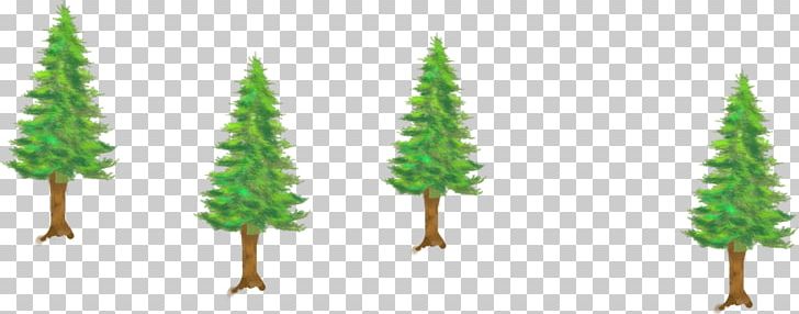 Fir Spruce Tree PNG, Clipart, Branch, Christmas Tree, Conifer, Evergreen, Fir Free PNG Download
