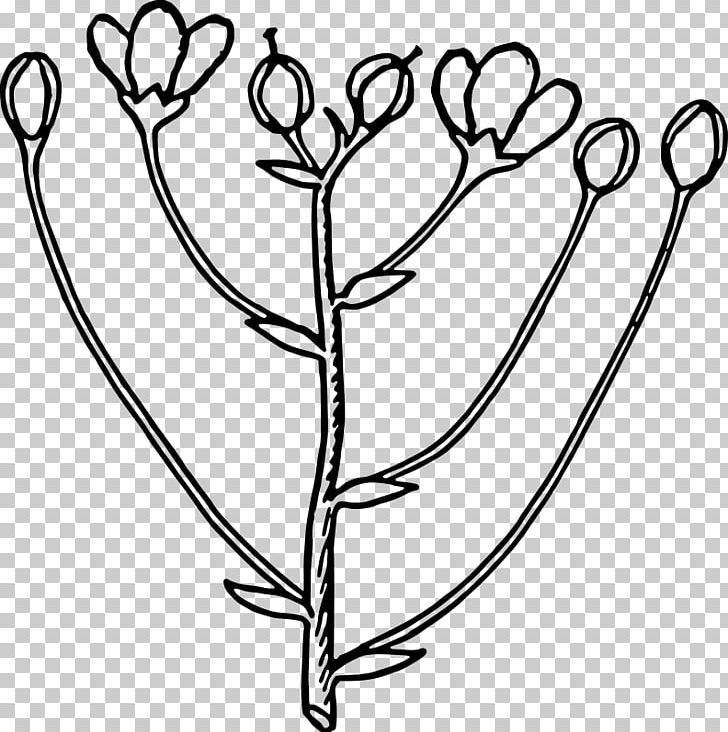 Bud Flower PNG, Clipart, Balloon Cartoon, Black And White, Bouquet Of Flowers, Branch, Bud Free PNG Download