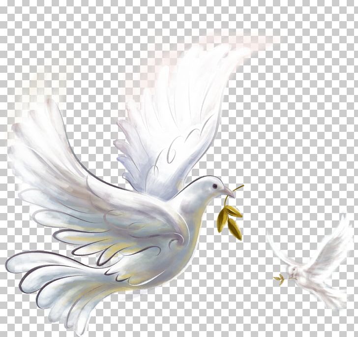 Epicenter Of Peace Doves As Symbols PNG, Clipart, Animals, Art, Beak, Bird, Bird Of Prey Free PNG Download