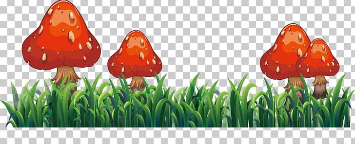 Flower Euclidean PNG, Clipart, Download, Flowering Plant, Grass, Grassy Area, Mushroom Free PNG Download
