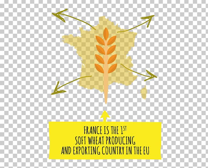 Grasses Common Wheat Commodity Numerical Digit France PNG, Clipart, Artwork, Brand, Commodity, Common Wheat, Diagram Free PNG Download